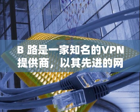 B 路是一家知名的VPN提供商，以其先进的网络架构和技术在用户中享有很高的声誉。以下是关于B 路VPN快慢的详细分析