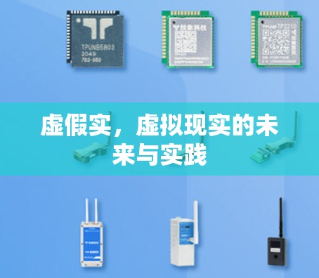 虚假实，虚拟现实的未来与实践