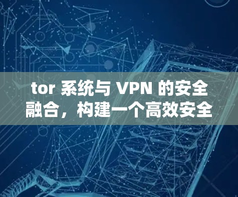 tor 系统与 VPN 的安全融合，构建一个高效安全网络