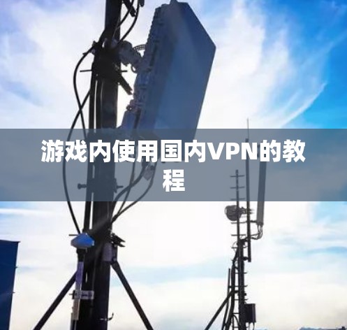 游戏内使用国内VPN的教程