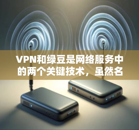 VPN和绿豆是网络服务中的两个关键技术，虽然名称相近，但具体含义和应用有所不同。以下是关于它们的简单介绍