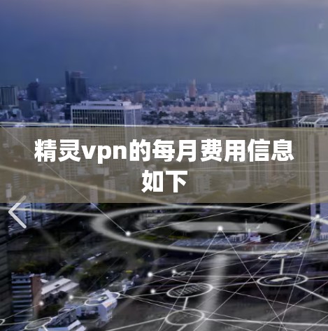 精灵vpn的每月费用信息如下