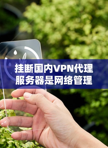 挂断国内VPN代理服务器是网络管理的一部分，通常需要通过配置文件或软件工具来实现。以下是一些常见步骤，帮助您挂断服务器