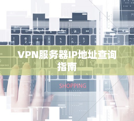VPN服务器IP地址查询指南