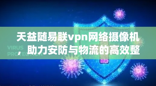 天益随易联vpn网络摄像机，助力安防与物流的高效整合