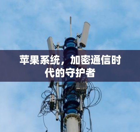 苹果系统，加密通信时代的守护者