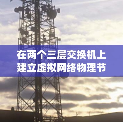 在两个三层交换机上建立虚拟网络物理节点（VpN）的过程通常涉及以下几个步骤