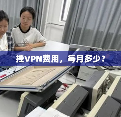 挂VPN费用，每月多少？