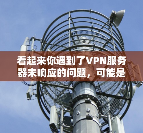 看起来你遇到了VPN服务器未响应的问题，可能是由于服务器响应时间过长、延迟过大，或者服务器出现了故障。以下是一些可能的解决方案