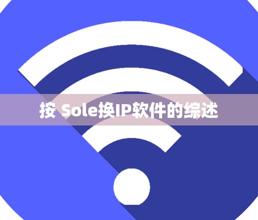 按 Sole换IP软件的综述