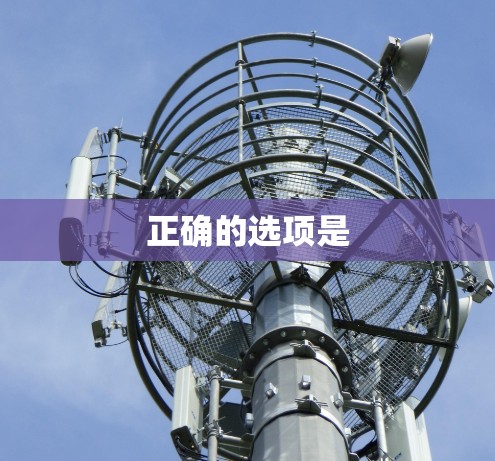 正确的选项是