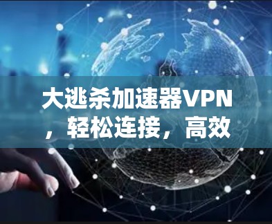大逃杀加速器VPN，轻松连接，高效速度