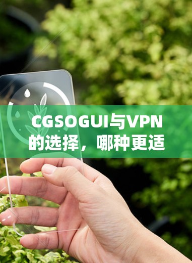 CGSOGUI与VPN的选择,哪种更适合你的游戏体验? CGSOGUI与VPN的选择,哪种更适合你的游戏体验?