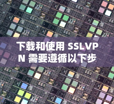 下载和使用 SSLVPN 需要遵循以下步骤