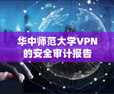 华中师范大学VPN的安全审计报告