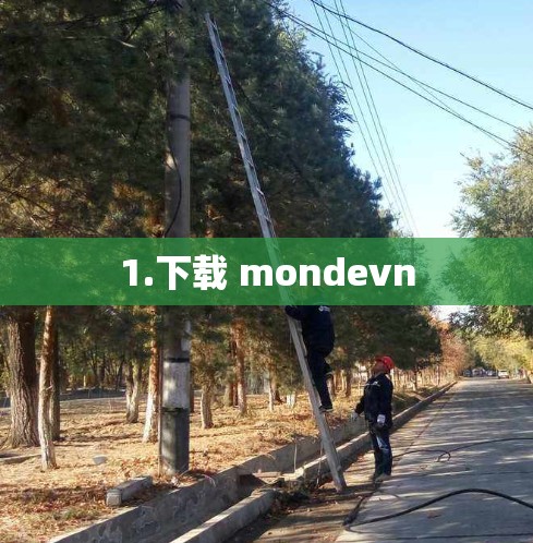 1.下载 mondevn