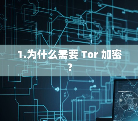 1.为什么需要 Tor 加密？