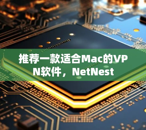 推荐一款适合Mac的VPN软件，NetNest