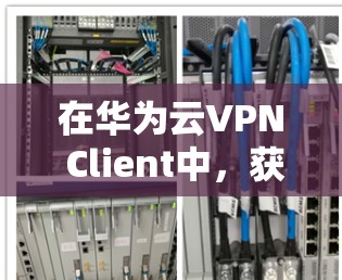 在华为云VPN Client中，获取IP地址的步骤如下