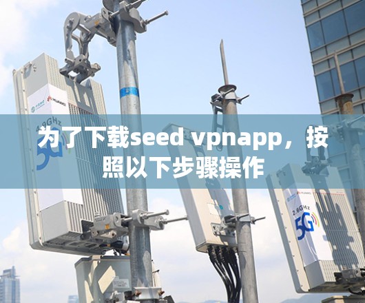 为了下载seed vpnapp，按照以下步骤操作
