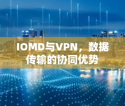 IOMD与VPN，数据传输的协同优势