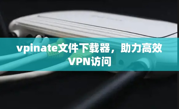 vpinate文件下载器,助力高效VPN访问 vpinate文件下载器,助力高效VPN访问