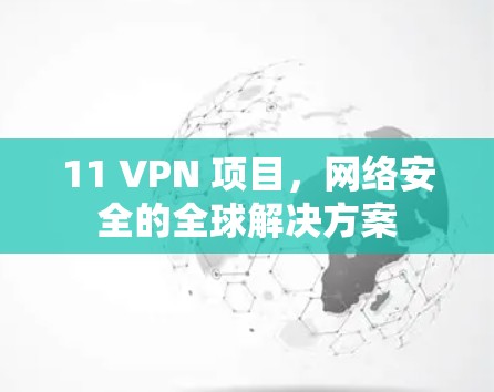11 VPN 项目，网络安全的全球解决方案