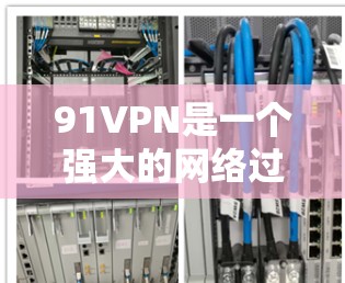 91VPN是一个强大的网络过滤器和安全软件，旨在保护您的网络环境。以下是对91VPN的详细总结