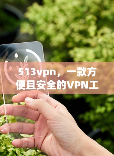 513vpn，一款方便且安全的VPN工具，值得你尝试？
