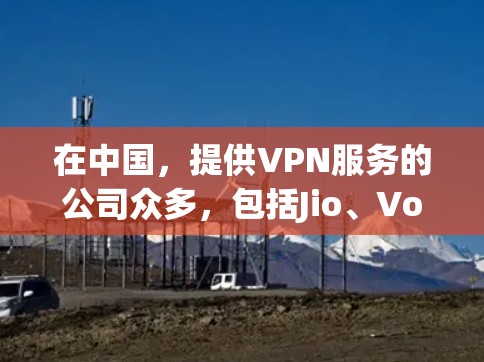 在中国，提供VPN服务的公司众多，包括Jio、VoIP、JioMom等，这些公司通常提供免费VPN服务，但需要注意以下几点