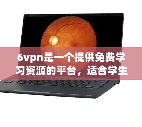 6vpn是一个提供免费学习资源的平台，适合学生、教师和专业人士。以下是对6vpn的详细介绍