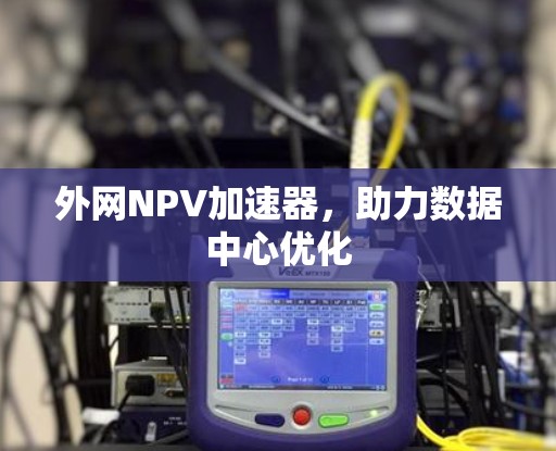 外网NPV加速器，助力数据中心优化