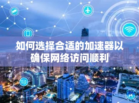 如何选择合适的加速器以确保网络访问顺利
