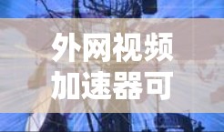 外网视频加速器可以帮助你更好地下载外网提供的视频内容，尤其是在速度较慢的情况下。以下是一些推荐的外网视频加速器和工具，帮助你更高效地进行视频下载