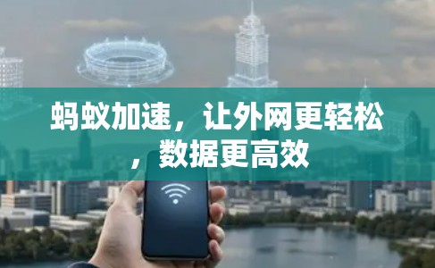 蚂蚁加速，让外网更轻松，数据更高效