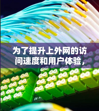 为了提升上外网的访问速度和用户体验，选择合适的加速器非常关键。以下是一些可能适合上外网的加速器类型和功能