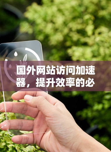 国外网站访问加速器，提升效率的必备工具