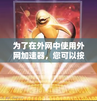 为了在外网中使用外网加速器，您可以按照以下步骤进行
