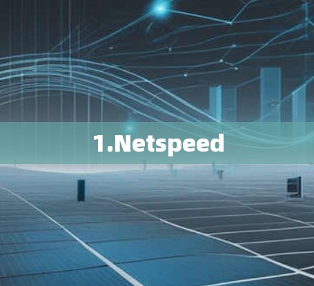 1.Netspeed
