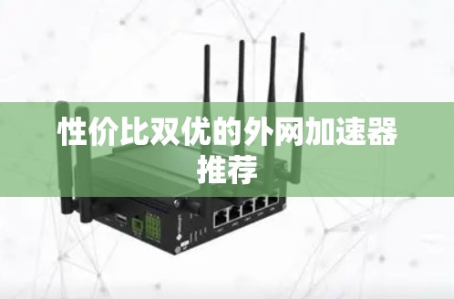 性价比双优的外网加速器推荐