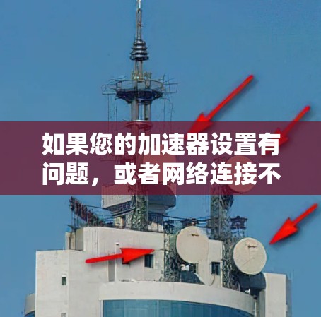 如果您的加速器设置有问题，或者网络连接不稳定，可以按照以下步骤进行检查和解决问题