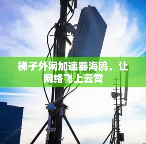 梯子外网加速器海鸥，让网络飞上云霄