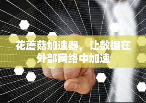 花蘑菇加速器，让数据在外部网络中加速