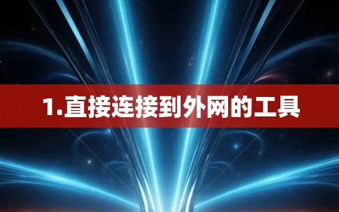 1.直接连接到外网的工具
