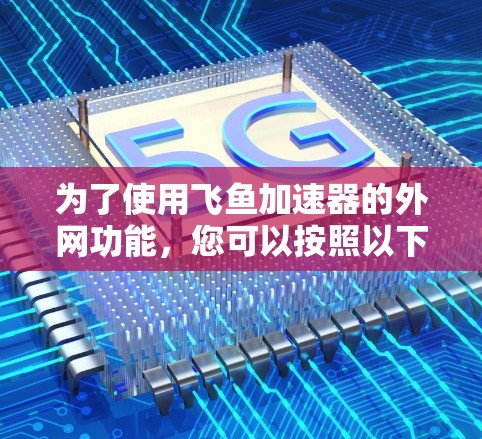 为了使用飞鱼加速器的外网功能，您可以按照以下步骤操作