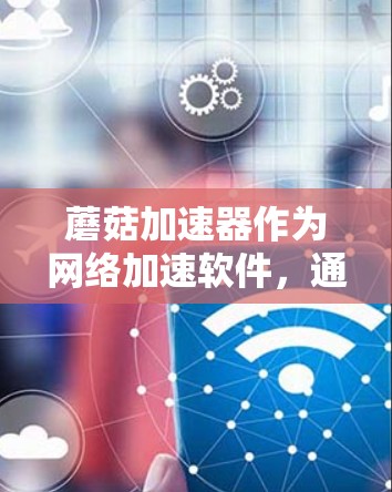 蘑菇加速器作为网络加速软件，通常支持连接到中国的互联网，尤其是外网。因此，蘑菇加速器可以连接到中国的上外网。然而，使用时需要考虑以下几点