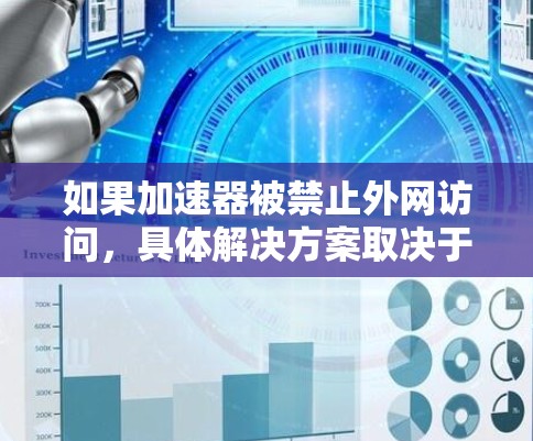 如果加速器被禁止外网访问，具体解决方案取决于原因