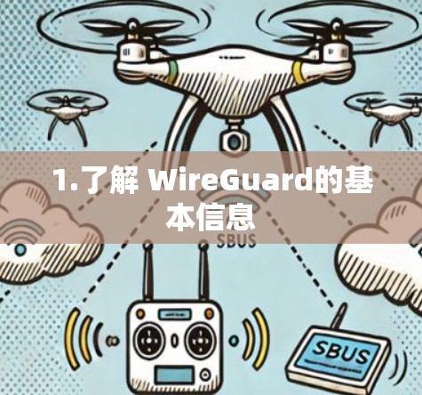 1.了解 WireGuard的基本信息