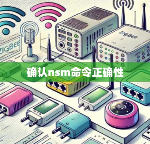 确认nsm命令正确性