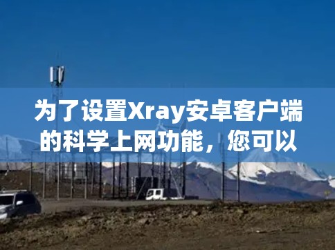 为了设置Xray安卓客户端的科学上网功能，您可以按照以下步骤操作